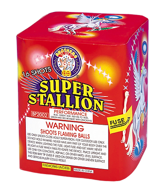 Fireworks package with 16 shots