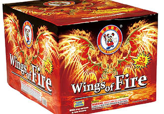 Colorful fireworks packaging with dragon design